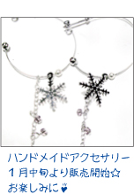 �A�N�Z�T���[